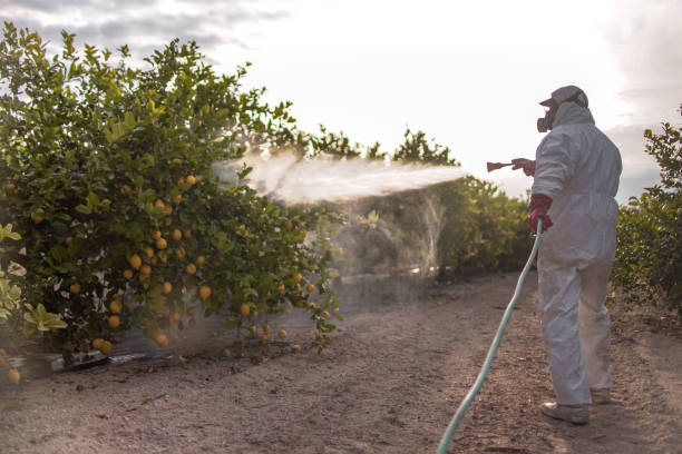Best Affordable Pest Control Services  in Golden Triangle, NJ