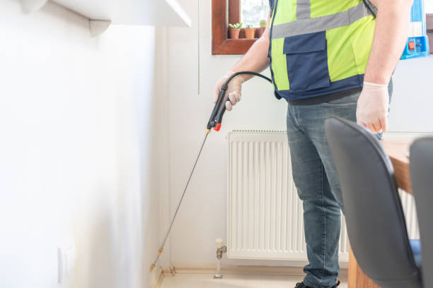 Best Termite Control Services  in Golden Triangle, NJ
