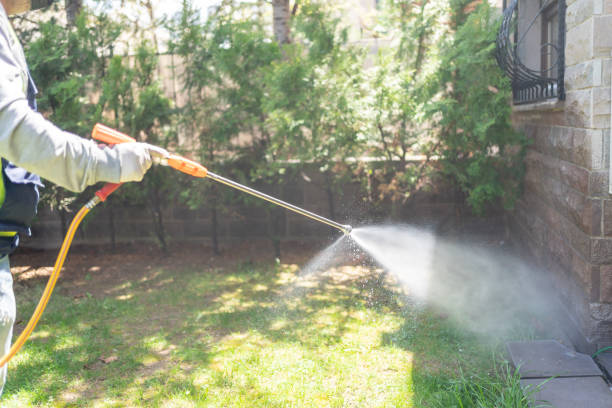 Best Rodent Control Near Me  in Golden Triangle, NJ