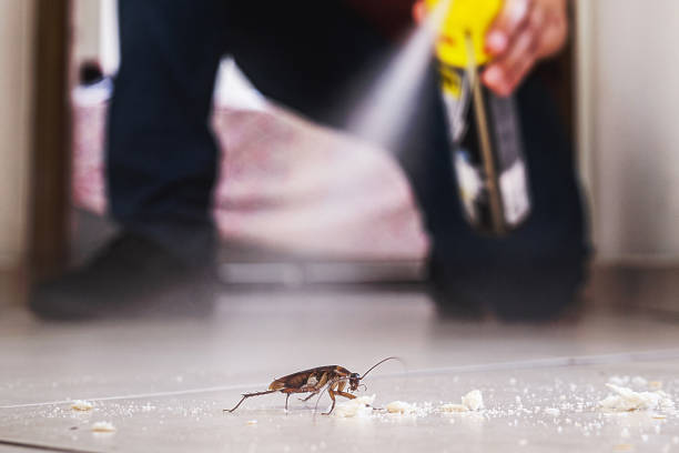 Best Best Pest Control Companies  in Golden Triangle, NJ