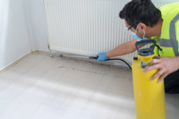 Pest Prevention Services in Golden Triangle, NJ