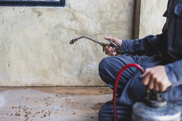 Best Residential Pest Control  in Golden Triangle, NJ